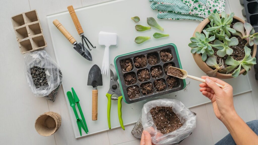 Nurture Your Mom's Green Thumb: Gardening Tools or Seeds as the Perfect Retirement Present