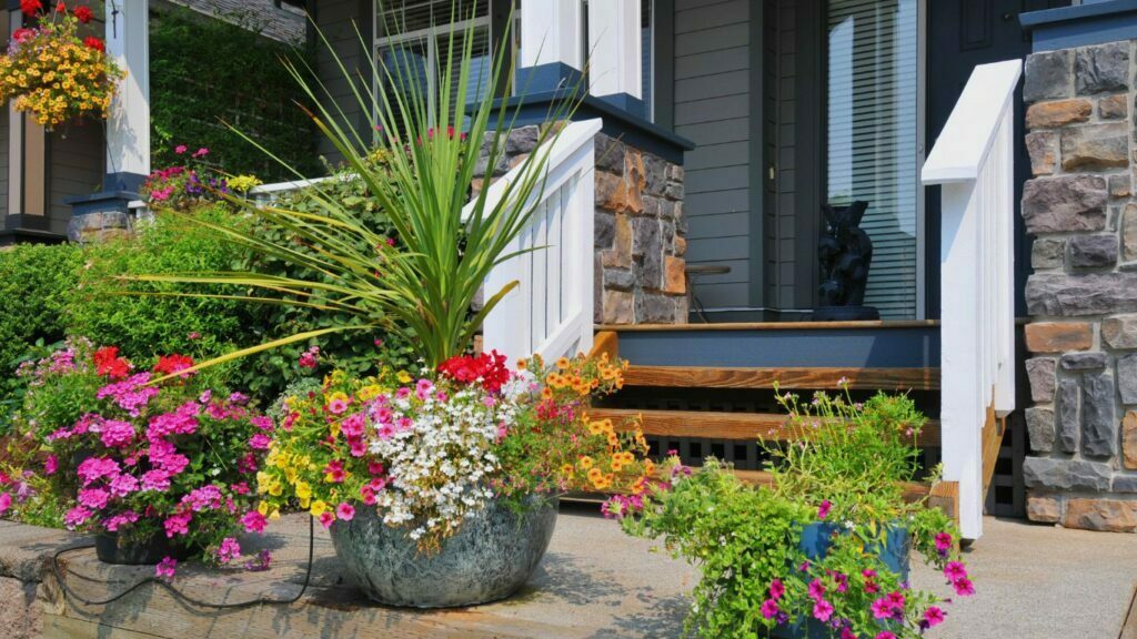 ceramic planters outside